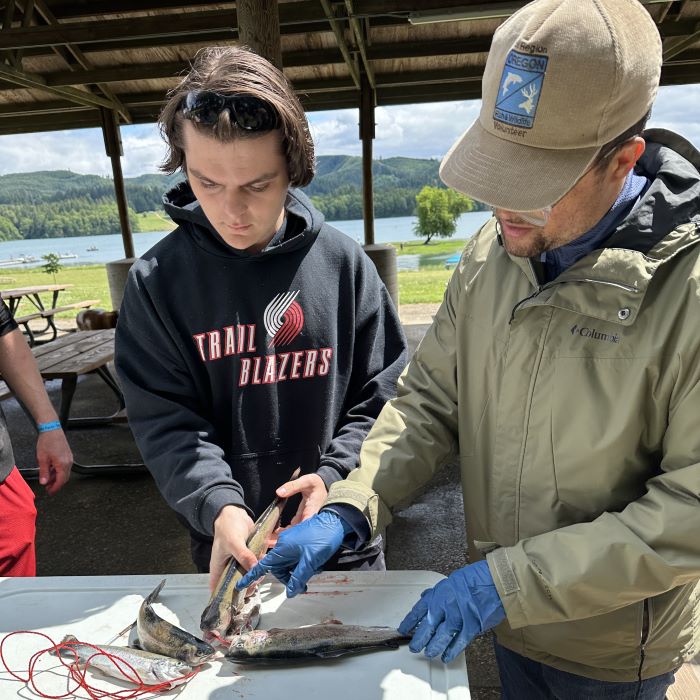 An Oregon fish and wildlife volunteer wearing blue gloves points at several fish from a catch