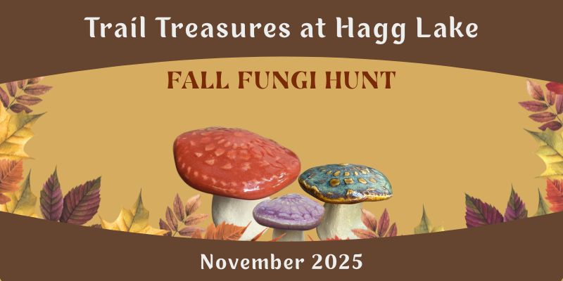 fall fungi hunt at Hagg Lake