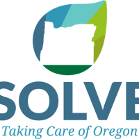 Solve Logo