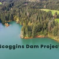Dam Project News